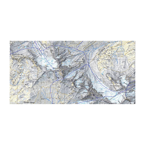Garmin TOPO Switzerland v2 PRO - microSD™/SD™ card – GPS Training