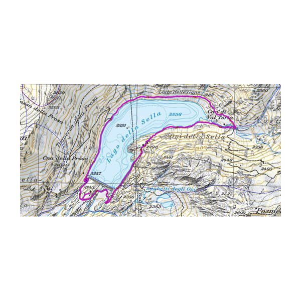 Garmin TOPO Switzerland v2 PRO - microSD™/SD™ card – GPS Training
